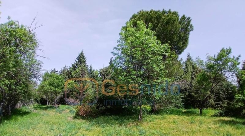 Segovia - Sotosalbos - 1770m2