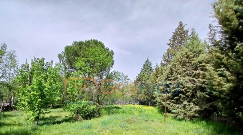 Segovia - Sotosalbos - 1770m2
