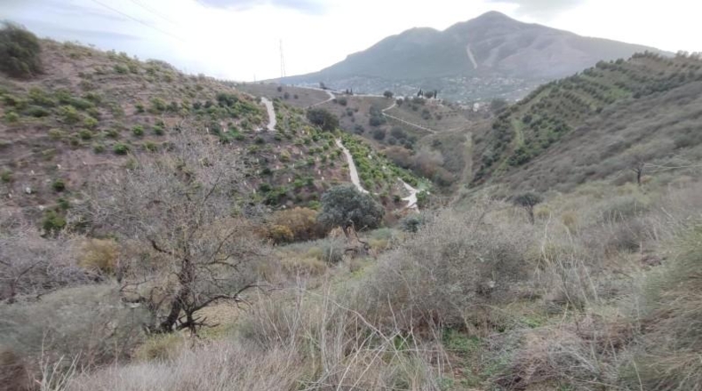 Málaga - Alhaurín el Grande - 26400m2