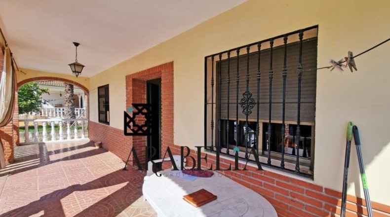Córdoba - Córdoba - 3000m2
