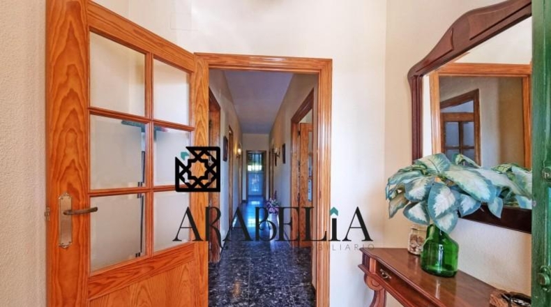 Córdoba - Córdoba - 3000m2