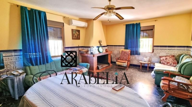 Córdoba - Córdoba - 3000m2
