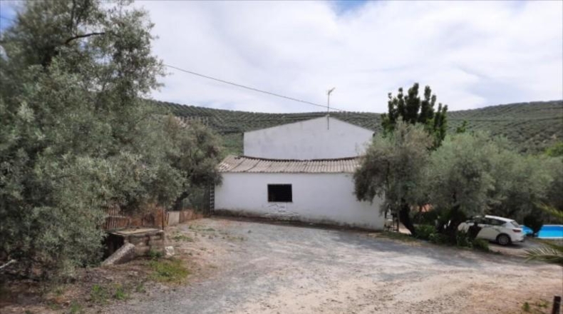 Córdoba - Lucena - 3818m2