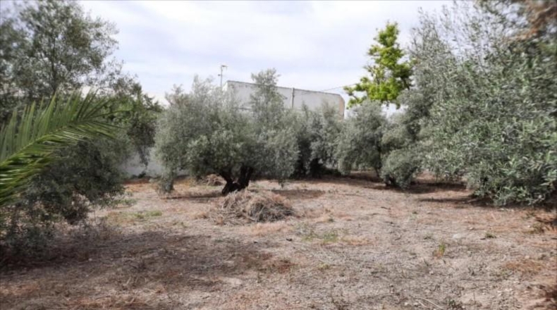 Córdoba - Lucena - 3818m2