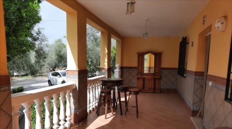 Córdoba - Lucena - 3818m2