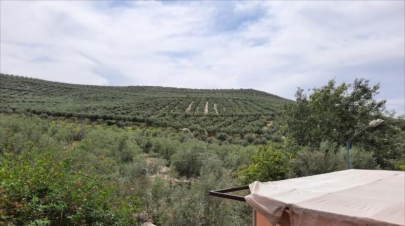 Córdoba - Lucena - 3818m2