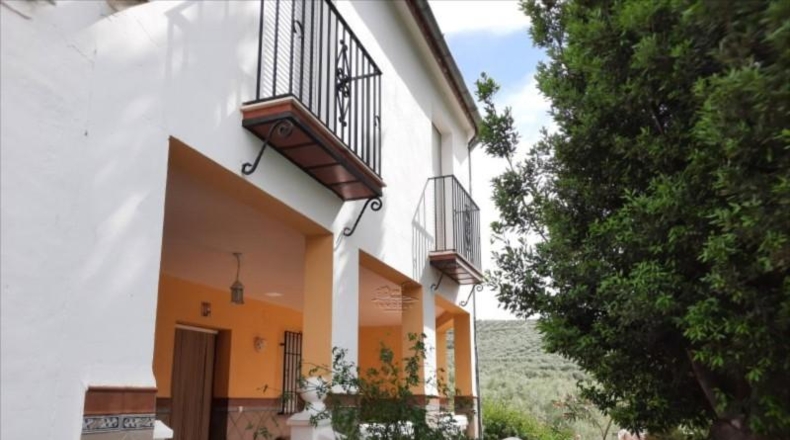 Córdoba - Lucena - 3818m2
