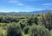 Suelo urbano en venta en la España, Campanet, ref: TR219149 foto
