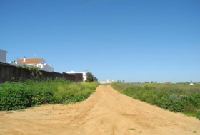 Foto 15