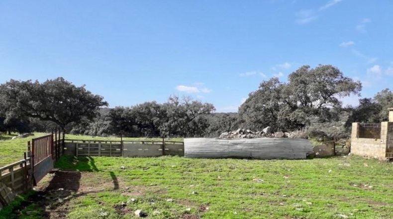 Córdoba - Fuente Obejuna - 257600m2