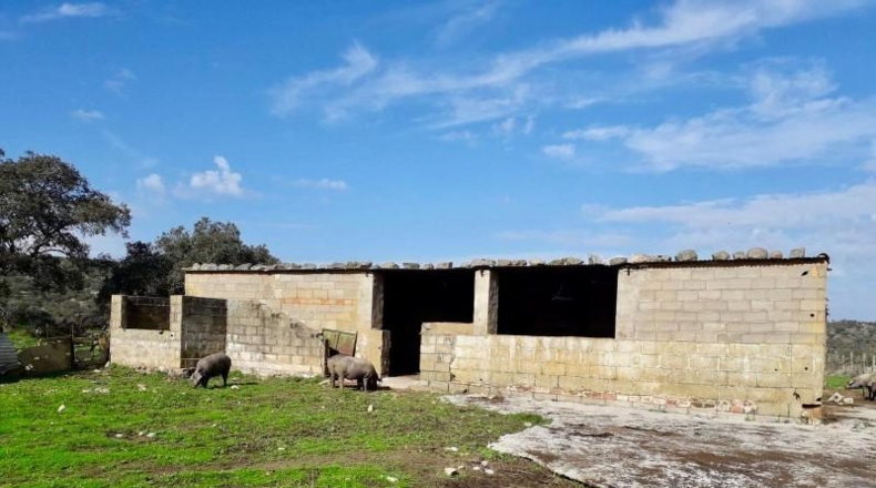 Córdoba - Fuente Obejuna - 257600m2