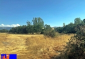 Detached villa with land for sale on España, Palazuelos de Eresma, ref: TR134478 photo
