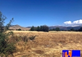 Detached villa with land for sale on España, Palazuelos de Eresma, ref: TR134478 photo