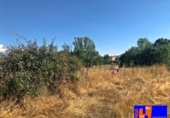 Detached villa with land for sale on España, Palazuelos de Eresma, ref: TR134478 photo