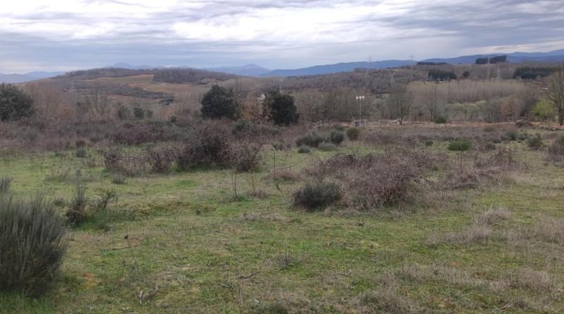 Leon - Cabañas Raras - 24000m2