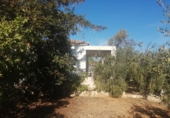 Chalet independiente con terreno en venta en la España, Riudoms, ref: TR151765 foto