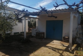 Foto 14