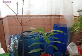 Foto 13