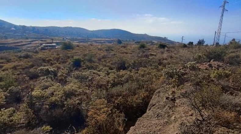 Santa Creu de Tenerife - Granadilla de Abona - 17992m2