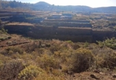 Non-developable land for sale on España, Granadilla de Abona, ref: TR407178 photo