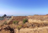 Non-developable land for sale on España, Granadilla de Abona, ref: TR407178 photo