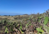 Non-developable land for sale on España, Granadilla de Abona, ref: TR407178 photo