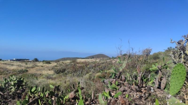 Santa Creu de Tenerife - Granadilla de Abona - 17992m2