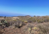 Non-developable land for sale on España, Granadilla de Abona, ref: TR407178 photo