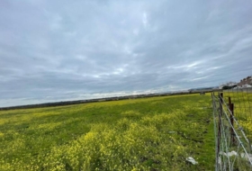 Arroyo de la Luz 27500&nbsp;m² 