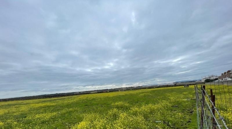 Cáceres - Arroyo de la Luz - 27500m2