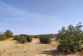 Villarrasa 71056&nbsp;m²