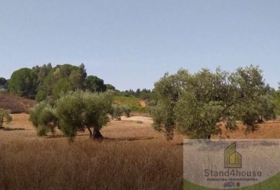 Villarrasa 71056&nbsp;m²