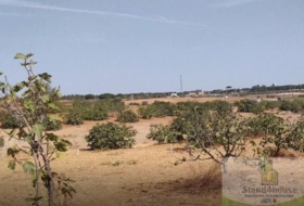 Villarrasa 71056&nbsp;m²