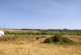 Villarrasa 71056&nbsp;m²