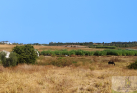 Villarrasa 71056&nbsp;m²