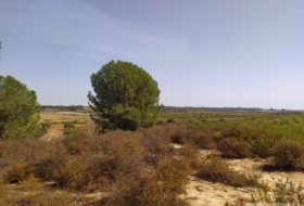 Villarrasa 71056&nbsp;m²