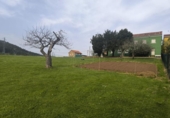 Country house with land for sale on España, Lazana, ref: TR367202 photo