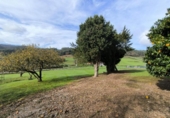 Country house with land for sale on España, Lazana, ref: TR367202 photo