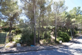 Sant Pere de Ribes 550&nbsp;m²