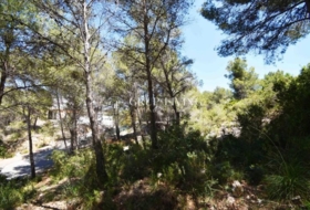 Sant Pere de Ribes 550&nbsp;m²