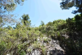 Sant Pere de Ribes 550&nbsp;m²