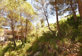 Sant Pere de Ribes 550&nbsp;m²