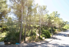 Sant Pere de Ribes 550&nbsp;m²
