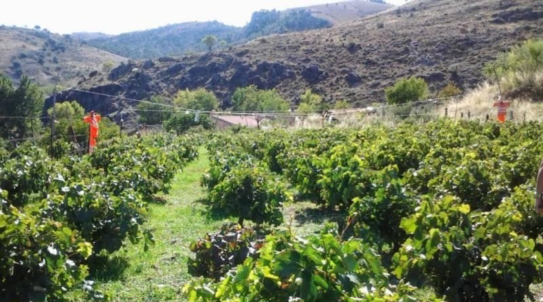 Granada - Guadix - 200m2