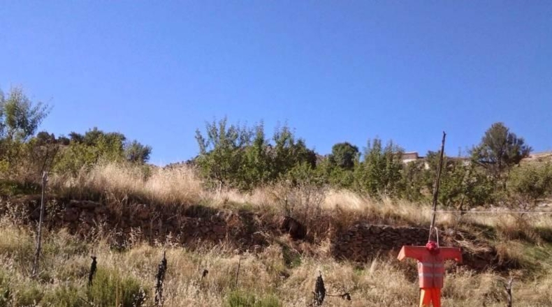Granada - Guadix - 200m2