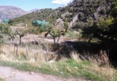 Casa de camp amb terreny en venda a la España, Guadix, ref.: TR376338 foto