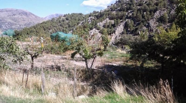 Granada - Guadix - 200m2
