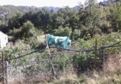 Casa de camp amb terreny en venda a la España, Guadix, ref.: TR376338 foto