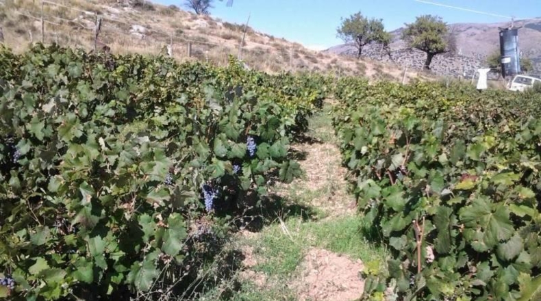 Granada - Guadix - 200m2