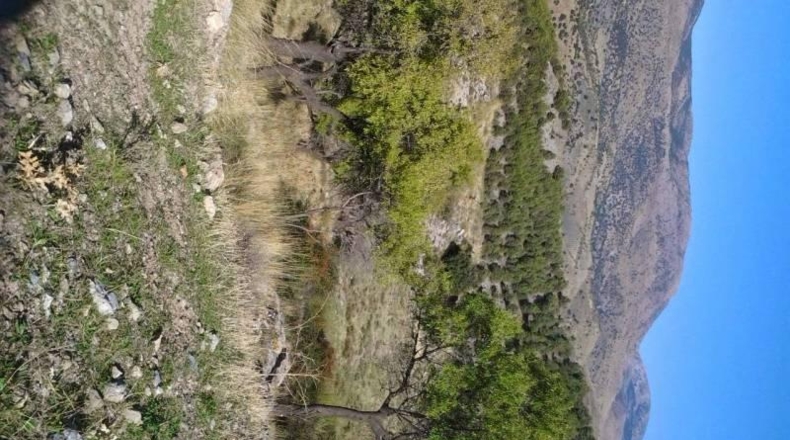Granada - Guadix - 200m2